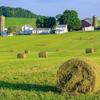   Largo Premium - Energy kaszáló fűmagkeverék - nedves területre - 25kg 