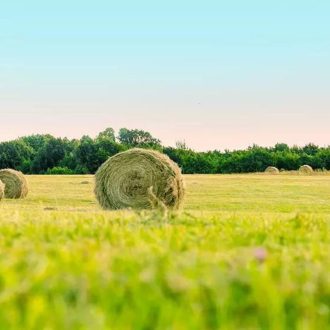   Largo Premium - Naturmix kaszáló fűmagkeverék - szárazságtűrő - 25kg 