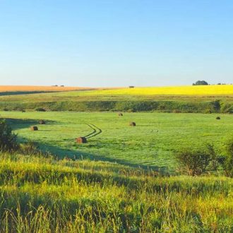   Largo Premium - Ökomix kaszáló és legelő fűmagkeverék - nedves területre - 25kg 