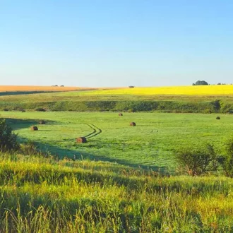   Largo Premium - Ökomix kaszáló és legelő fűmagkeverék - nedves területre - 25kg 