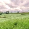 Largo Pillangós fűmagkeverék - Köztesnövény keverék - 25kg 