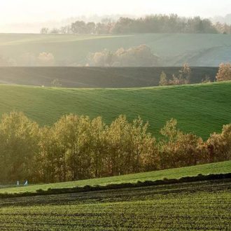 AKG Zöldugar 1 fűmagkeverék - 25kg 