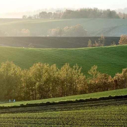 AKG Zöldugar 1 fűmagkeverék - 25kg 