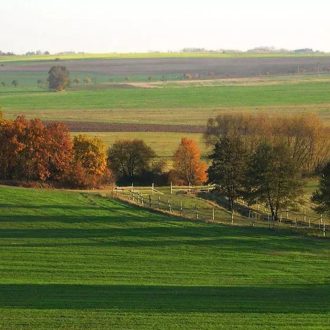 AKG Zöldugar 2 fűmagkeverék - 25kg 