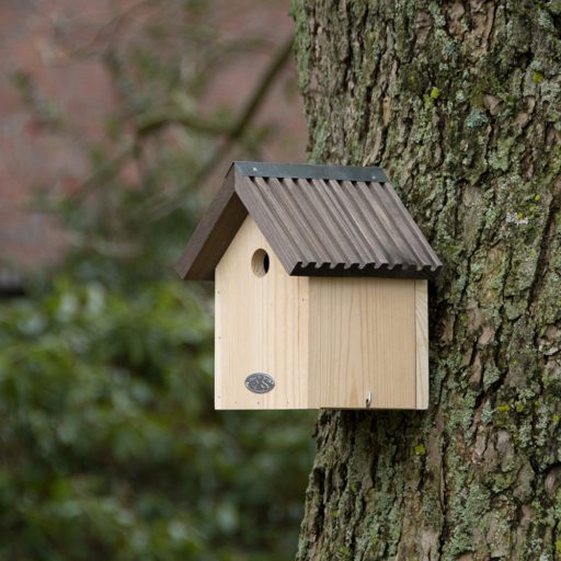 Kék cinege madárodú - "A" típus