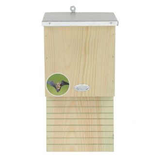 Denevér odú - S - egyszerű