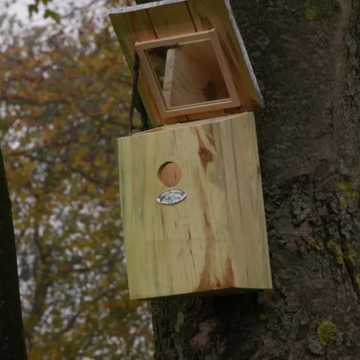 Madárodú belső megfigyelő tükörrel - "B" típus - Esschert Design