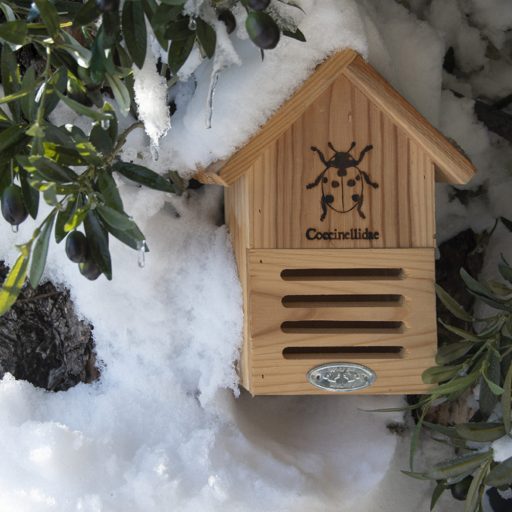 Rovarhotel katicabogaraknak - katica sziluettel