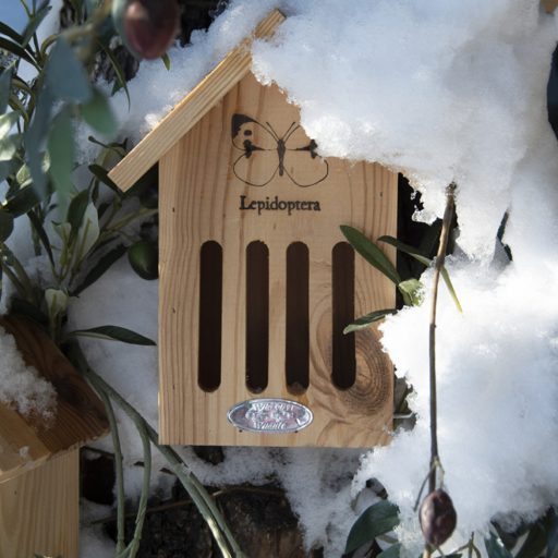 Pillangó ház - pillangó sziluettel