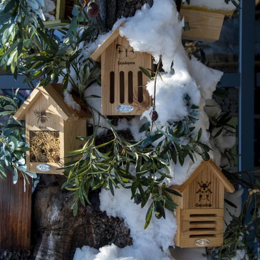 Pillangó ház - pillangó sziluettel