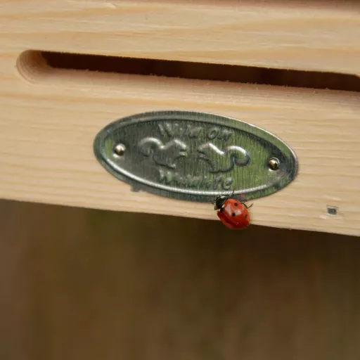 Rovarhotel katicabogaraknak - katicás mintával - piros tetővel