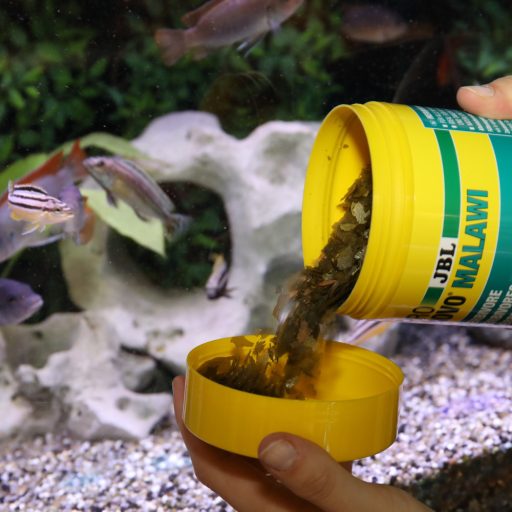 JBL ProNovo Malawi Flakes M 1l - lemezes akváriumi haltáp