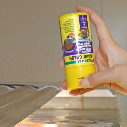 JBL ProNovo Color Grano S 100ml - akváriumi haltáp