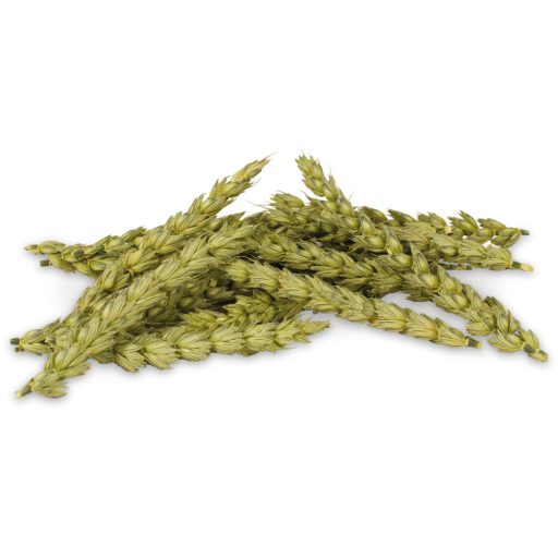 JR Farm Kalász fürtök különlegesség - kiegészítő takarmány - 30g