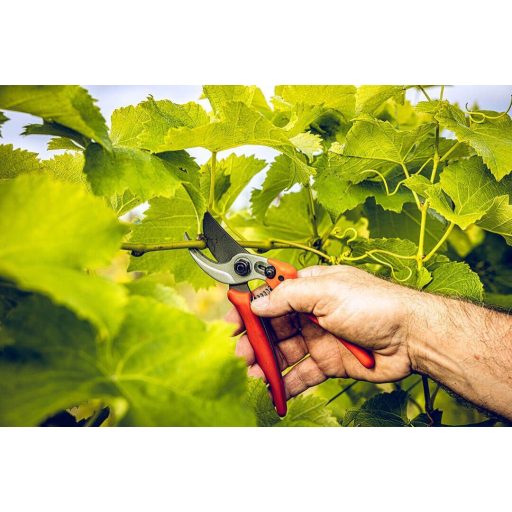 LÖWE 14.104 mellévágó metszőolló