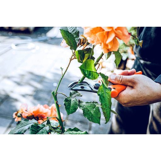 LÖWE 16.107 mellévágó metszőolló