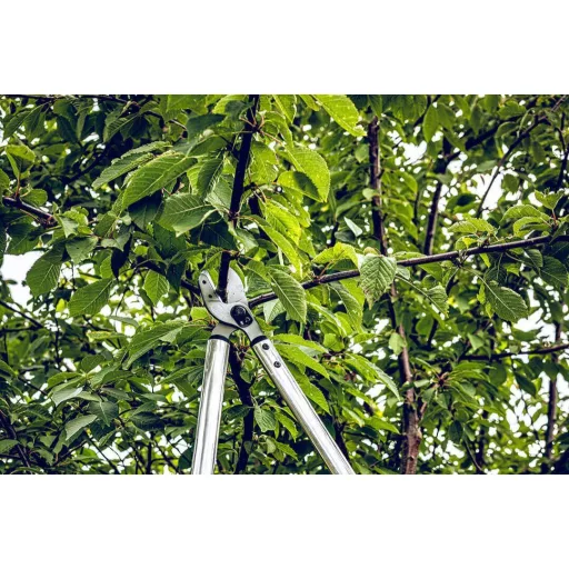 LÖWE 20.050 ágvágó olló