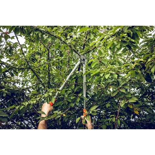 LÖWE 20.100 ágvágó olló