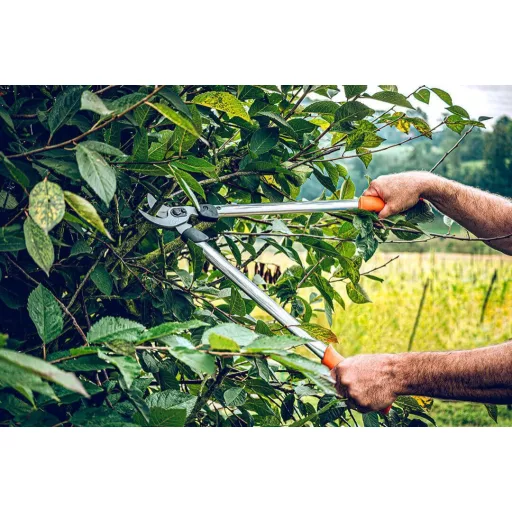 LÖWE 21.050 ágvágó olló