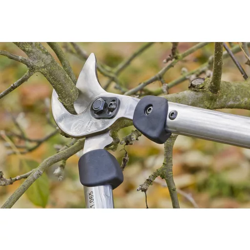 LÖWE 21.065 ágvágó olló