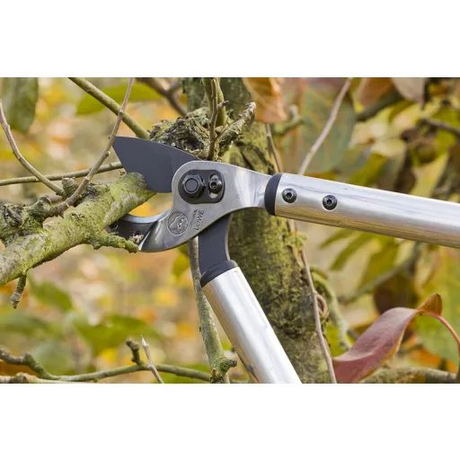 LÖWE 22.080 ágvágó olló