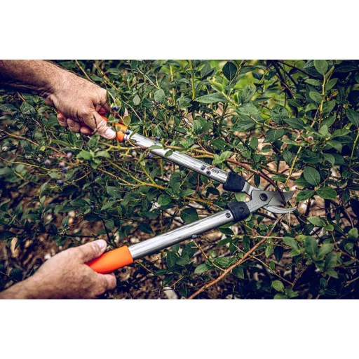 LÖWE 31.050 ágvágó olló