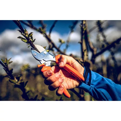 LÖWE 5.104 rávágó metszőolló