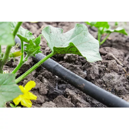 Csepegtetőcső 20mm, 33cm, 2l/h, 100m -SUPER-