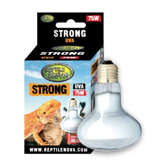 Reptile Nova Strong UVA terrárium izzó - 75W E27