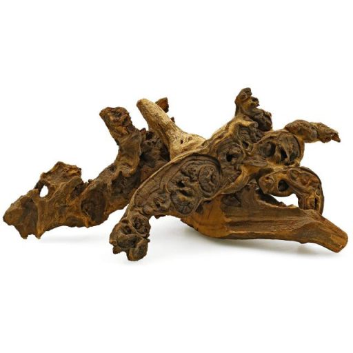 Szavanna fagyökér Nano