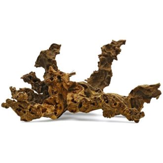 Szavanna fagyökér XL