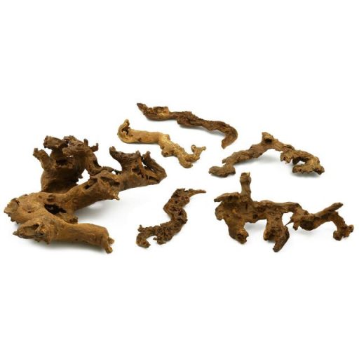 Szavanna fagyökér XL