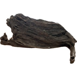 Mangrove fa XXXL - Egyedi