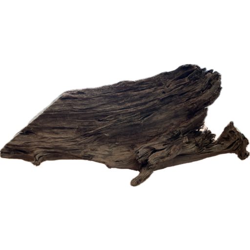 Mangrove fa XXXL - Egyedi