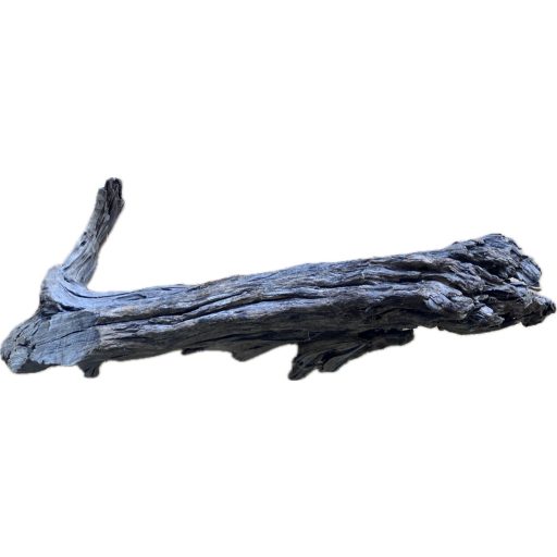 Mangrove fa XXXL - Egyedi