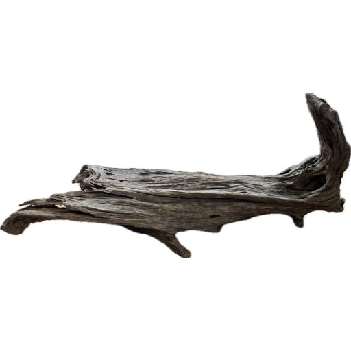 Mangrove fa XXXL - Egyedi