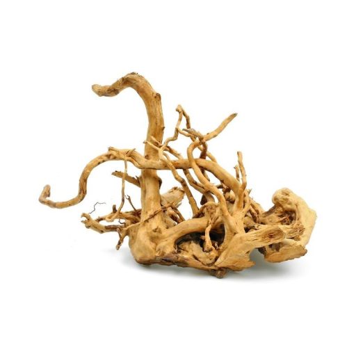 Red Moor fagyökér M