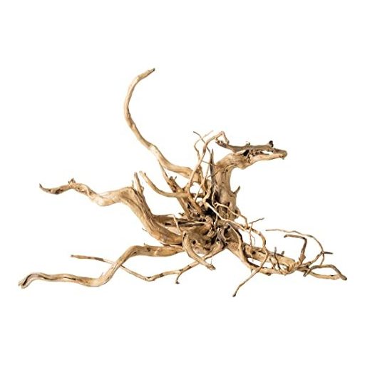 Red Moor fagyökér XXXL