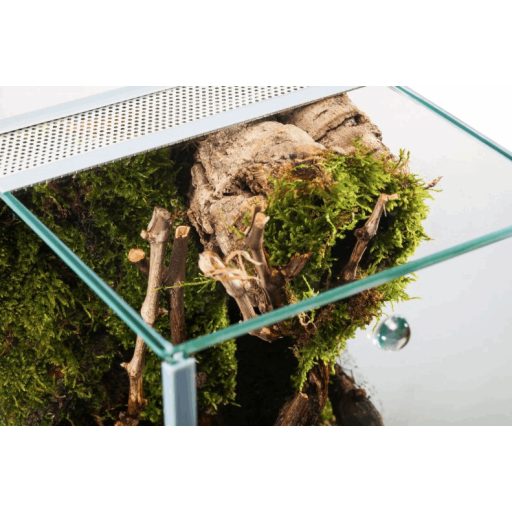 Diversa ejtőajtós álló terrárium - 20x15x25cm - pókok és rovarok számára