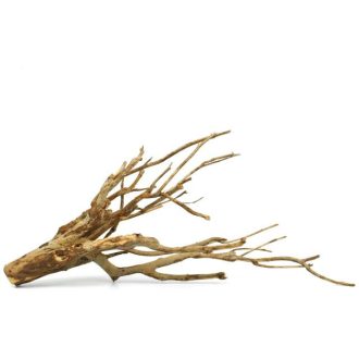 Talawa Wood fagyökér L