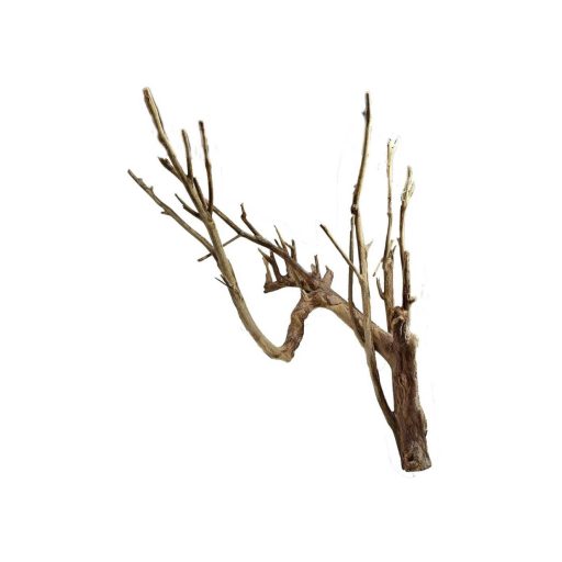 Talawa Wood fagyökér L