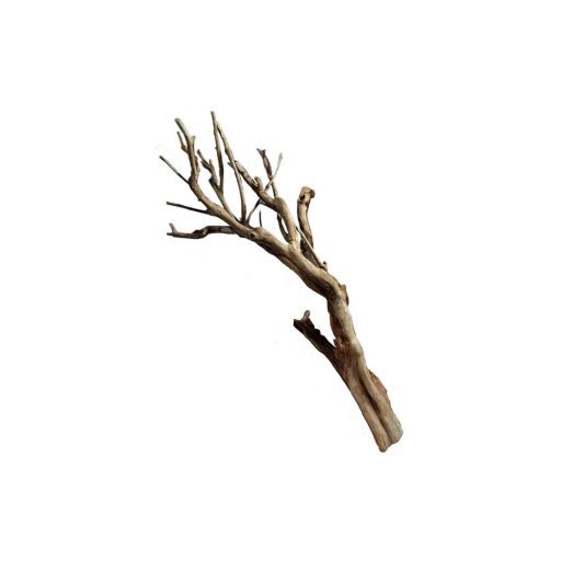 Talawa Wood fagyökér M