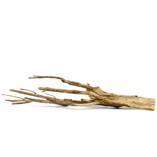 Talawa Wood fagyökér XL