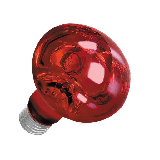 Happet Night Heat terráriumi izzó - 50W E27