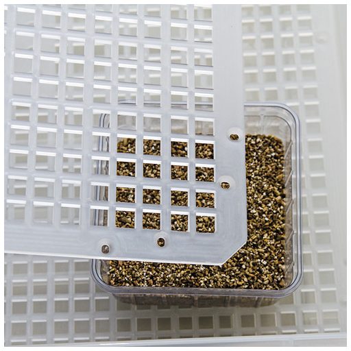 Hobby Easy Breeder digitális hüllőtojás keltető - 48x50x24cm