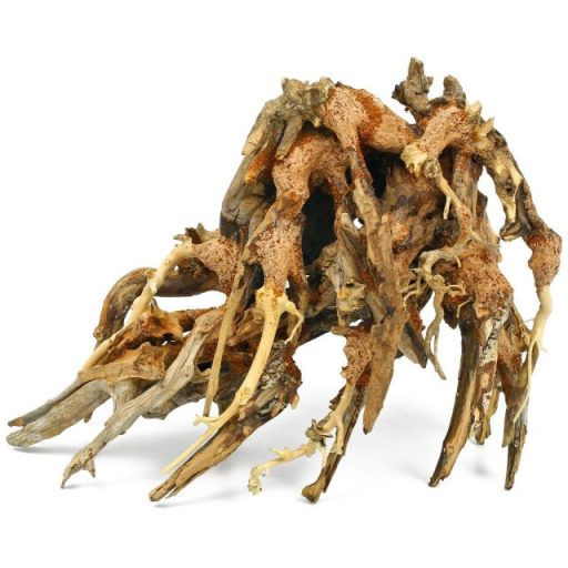 Octopus Wood fagyökér S