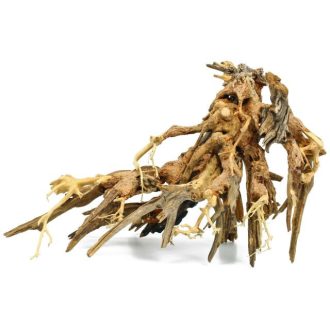 Octopus Wood fagyökér L