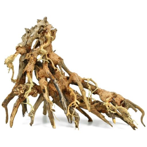 Octopus Wood fagyökér L