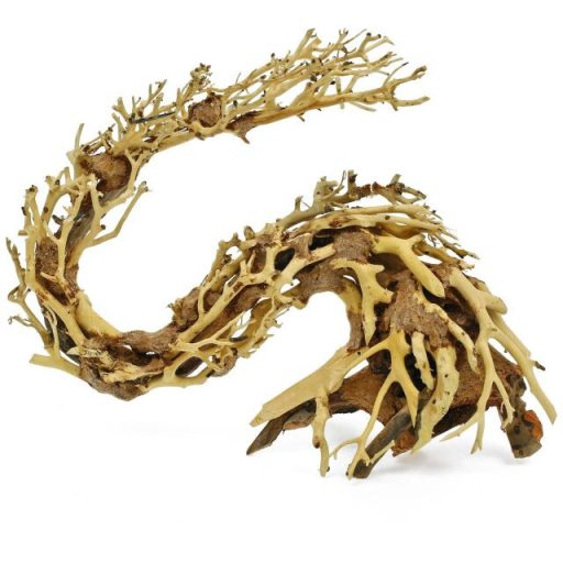 Dragon-Bonsai fagyökér S - aquascaping