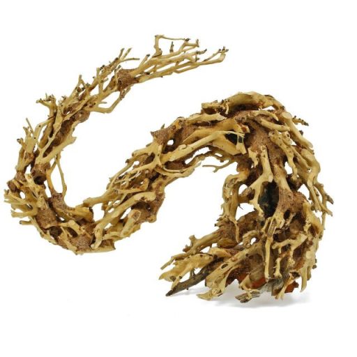 Dragon-Bonsai fagyökér S - aquascaping